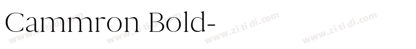 Cammron Bold字体转换